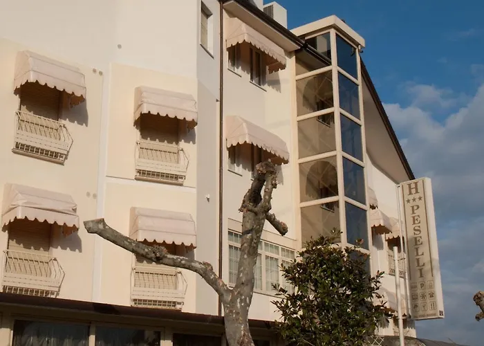 Hotel Peselli Marina di Massa